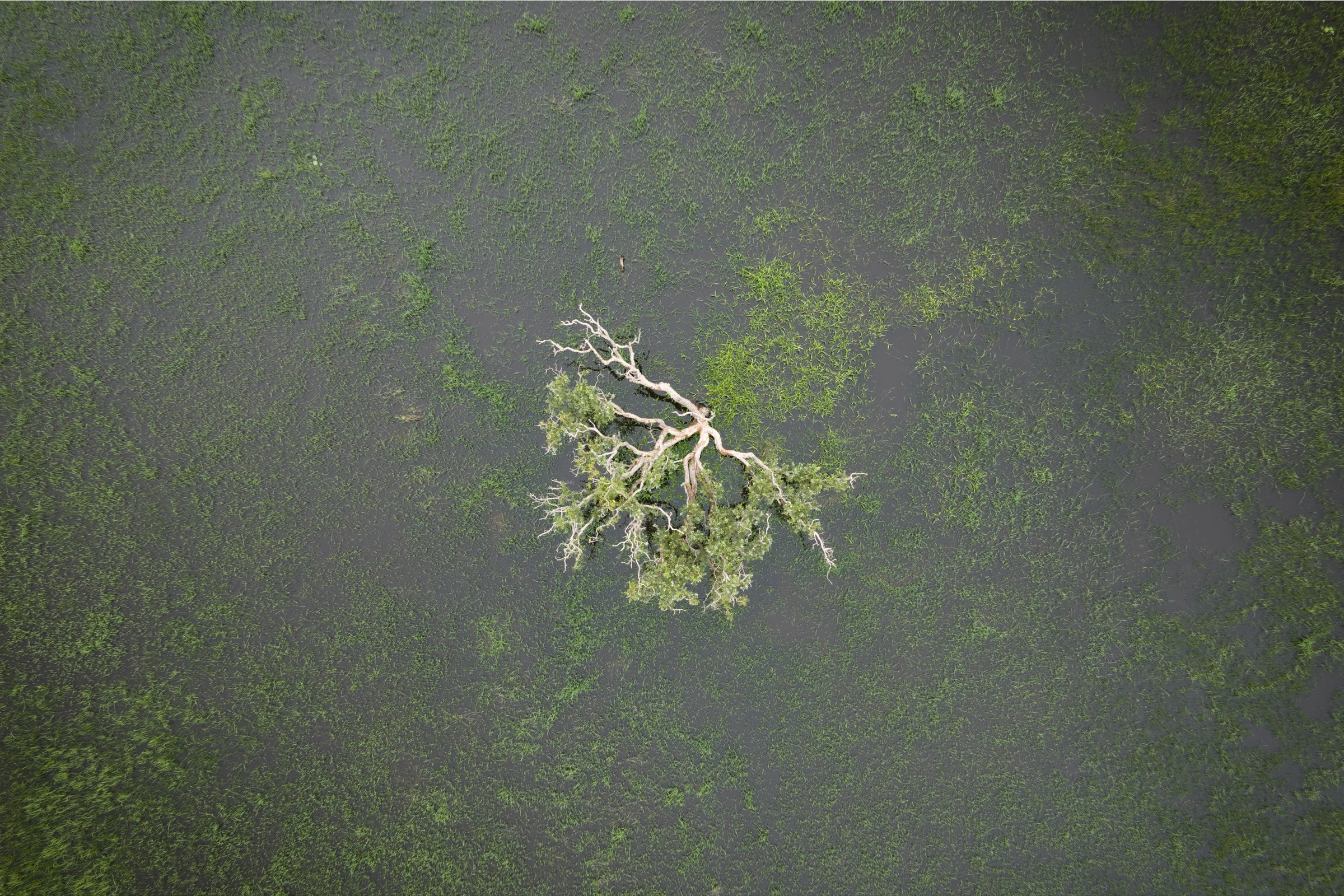 Infrastructure aerial documentation, NT